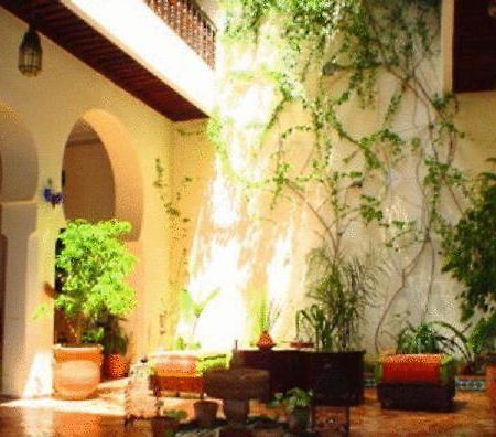 Ryad Bahia مكناز المظهر الخارجي الصورة