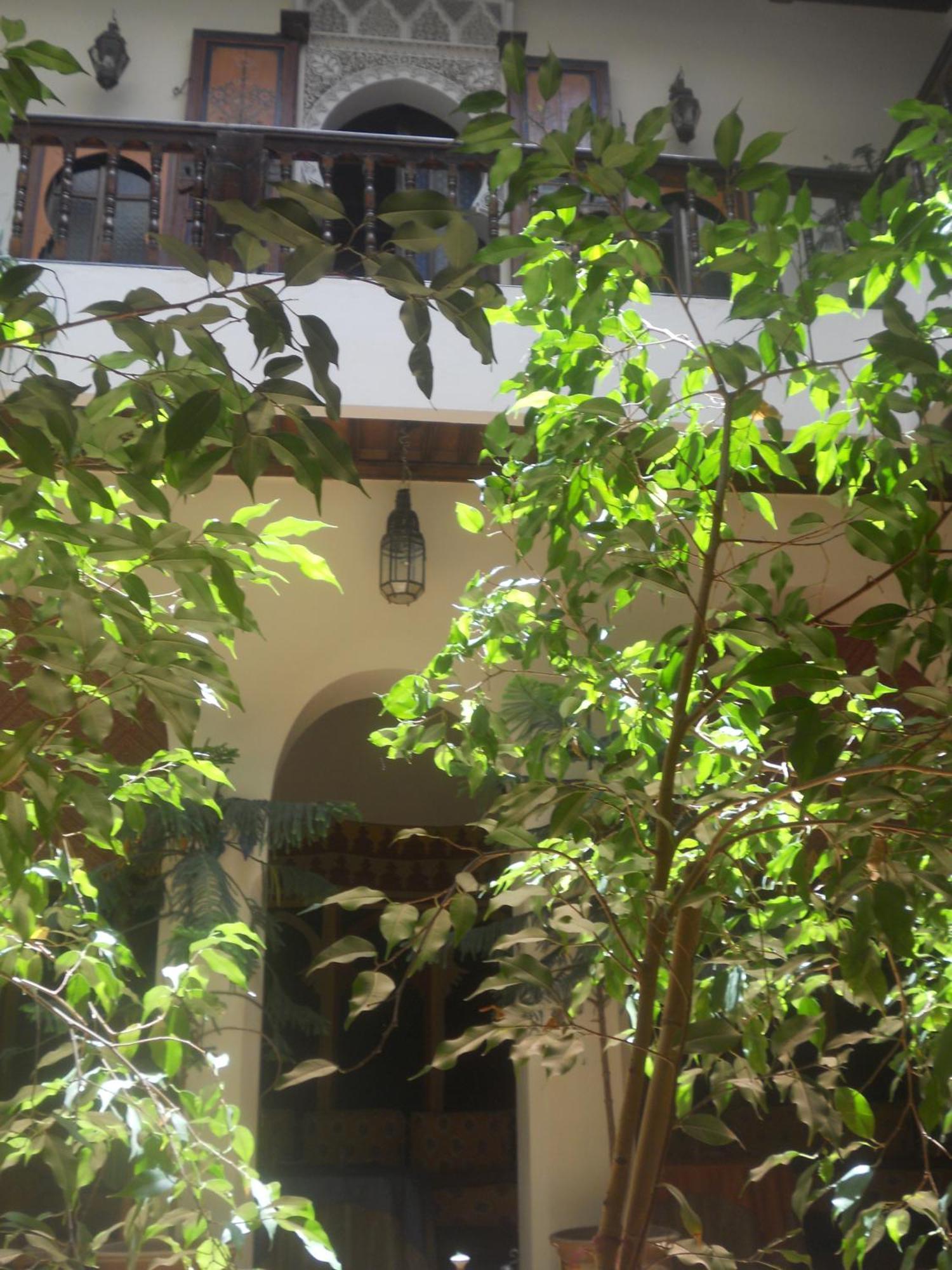 Ryad Bahia مكناز المظهر الخارجي الصورة